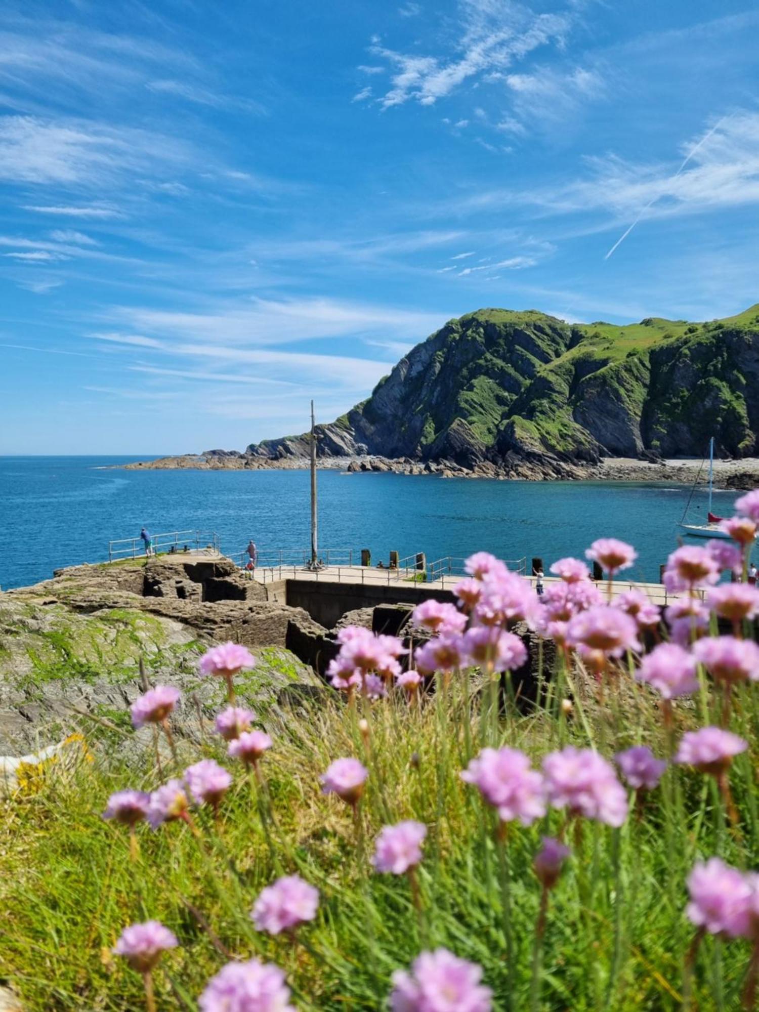 Kittiwake Appartement Ilfracombe Buitenkant foto